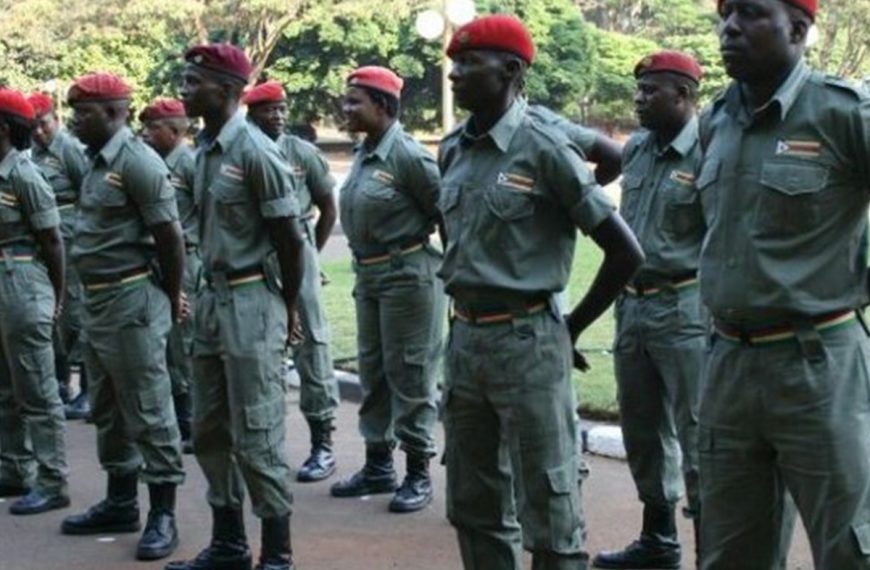 Border Gezi youth militia cadets seen in this picture during a national event recently.