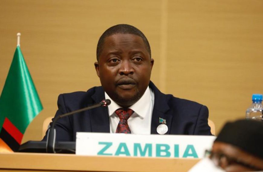 Zambian Foreign Minister Stanley Kakubo
