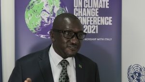 Home 6 Zambia's Minister of Green Economy and Environment, Collins Nzovu.