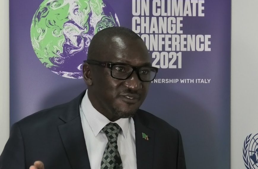 Home 140 Zambia's Minister of Green Economy and Environment, Collins Nzovu.