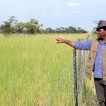 Zambian president Hakainde Hichilema during his tour of Ngabo Farm in Namwala District of Southern Province on Monday 4 March 2024.