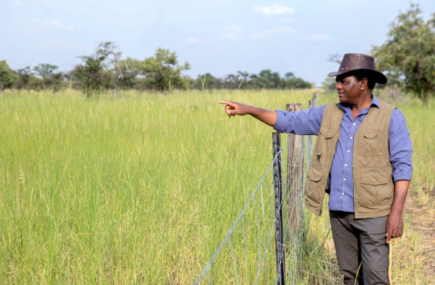 Home 149 Zambian president Hakainde Hichilema during his tour of Ngabo Farm in Namwala District of Southern Province on Monday 4 March 2024.